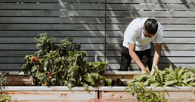 Why gardening injuries peak in spring,  image